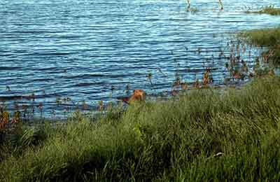 水利隧洞工程開挖施工和塌方問題