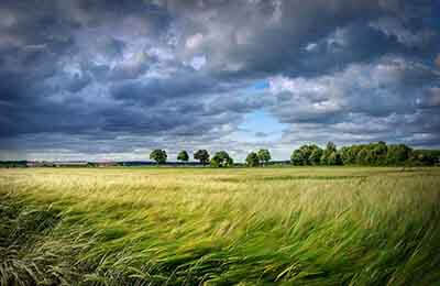 環(huán)境設(shè)計(jì)