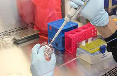 經(jīng)濟學與科學框架