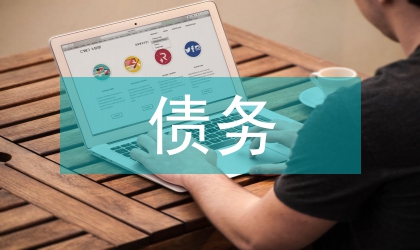 地方債務(wù)審計(jì)