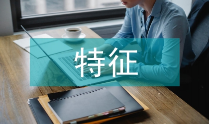 企業(yè)信息化的特征