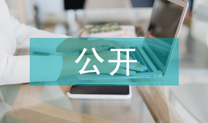 政府公開穩(wěn)步推進(jìn)黨務(wù)策略