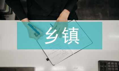 鄉(xiāng)鎮(zhèn)綜合管理