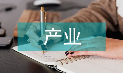 國內(nèi)產(chǎn)業(yè)調(diào)研