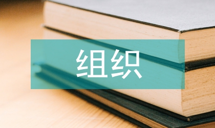 主城區(qū)道路交通組織特征與問題研究