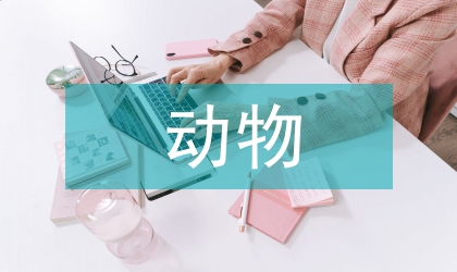 動(dòng)物醫(yī)學(xué)技術(shù)