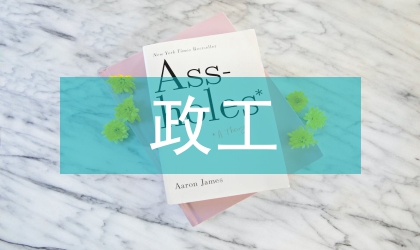 政工業(yè)務(wù)報告