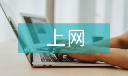 青少年上網(wǎng)調(diào)查報告