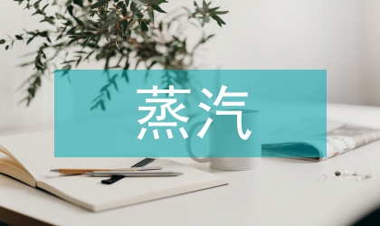 蒸汽養(yǎng)生應(yīng)用